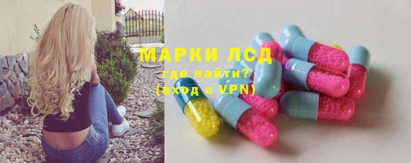 стаф Белокуриха