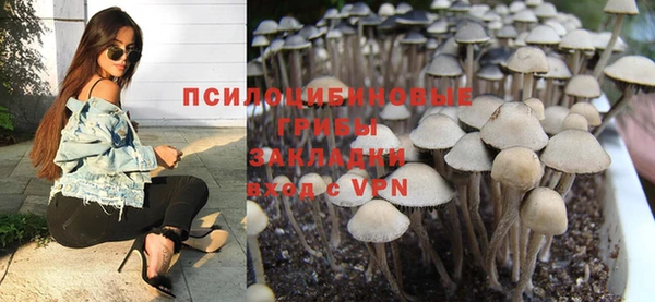Альфа ПВП Бугульма