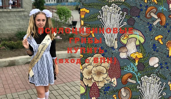 прущий лед Богородск