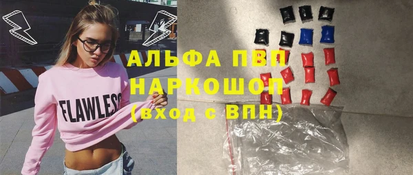 спиды Богданович