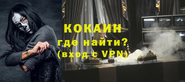спиды Богданович