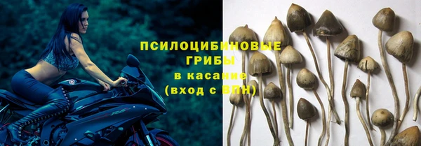 скорость Бородино