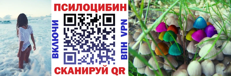 Купить  Советская Гавань  Галлюциногенные грибы MAGIC MUSHROOMS 
